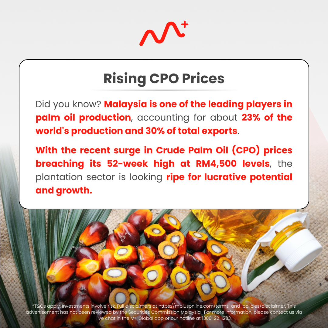 Maximizing Gains: The Rising Potential of Malaysian Palm Oil Plantation Stocks in 2024: plantation bursa malaysia 2
