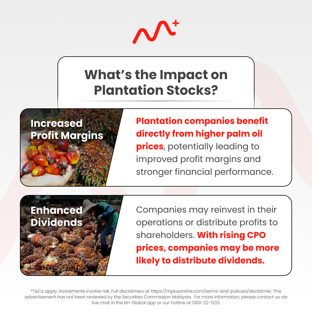 Maximizing Gains: The Rising Potential of Malaysian Palm Oil Plantation Stocks in 2024: plantation bursa malaysia 3
