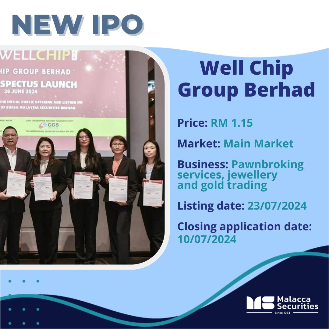 Well Chip Newly IPO