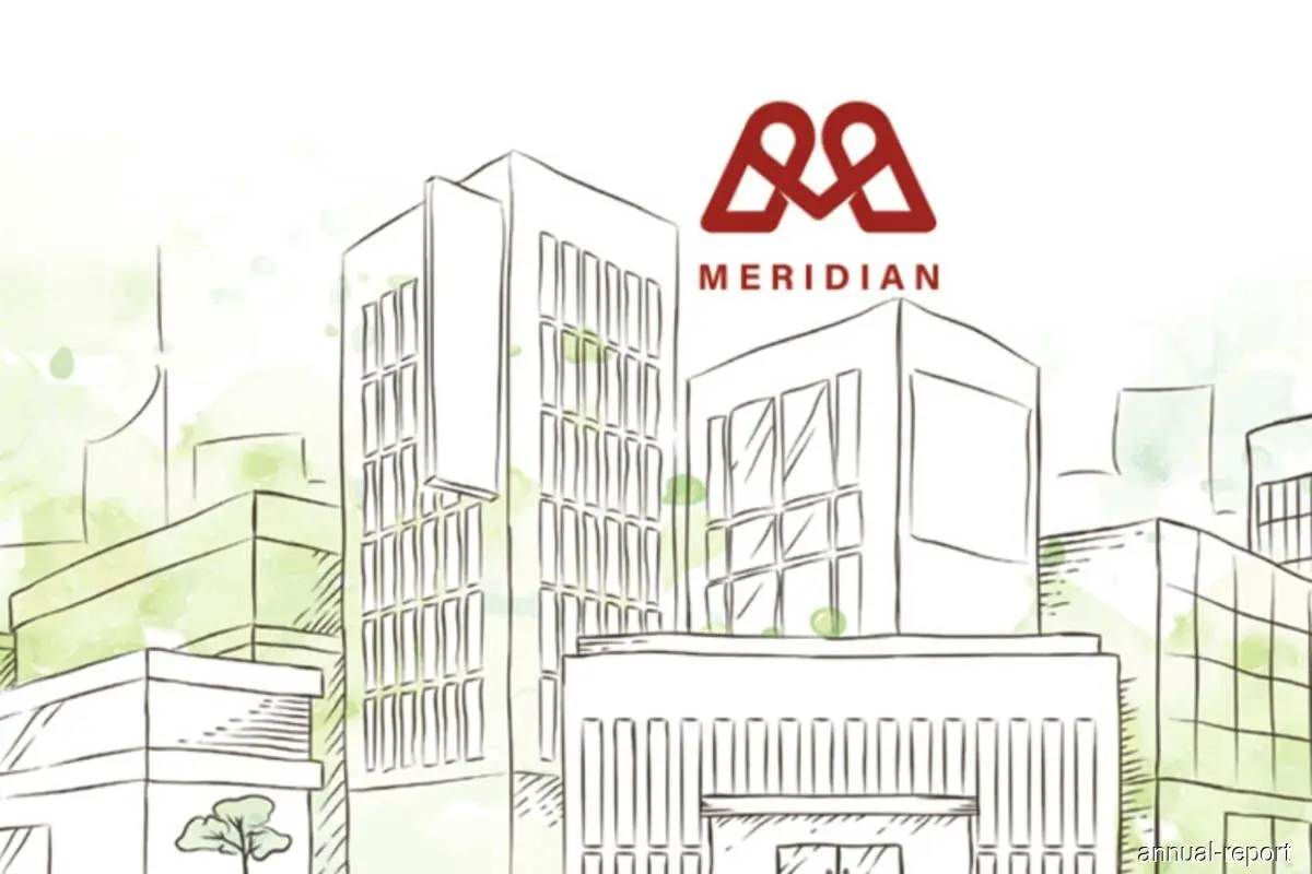 Meridian除牌：10月30日停牌，11月3日面临除牌
